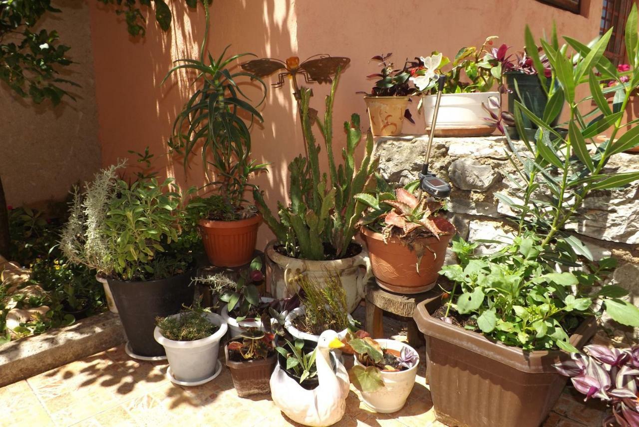 Apartmani Bubnic Umag Exterior foto